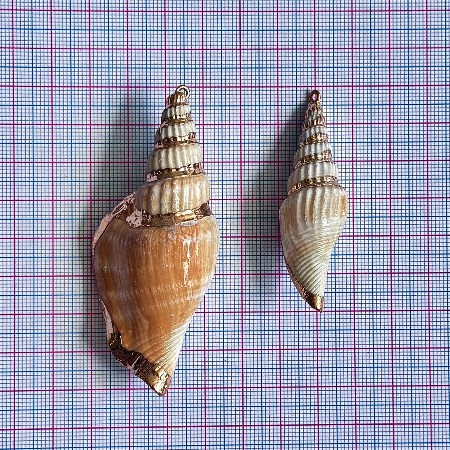 Dije Gran Caracol Marino • Nácar • Irregular 2