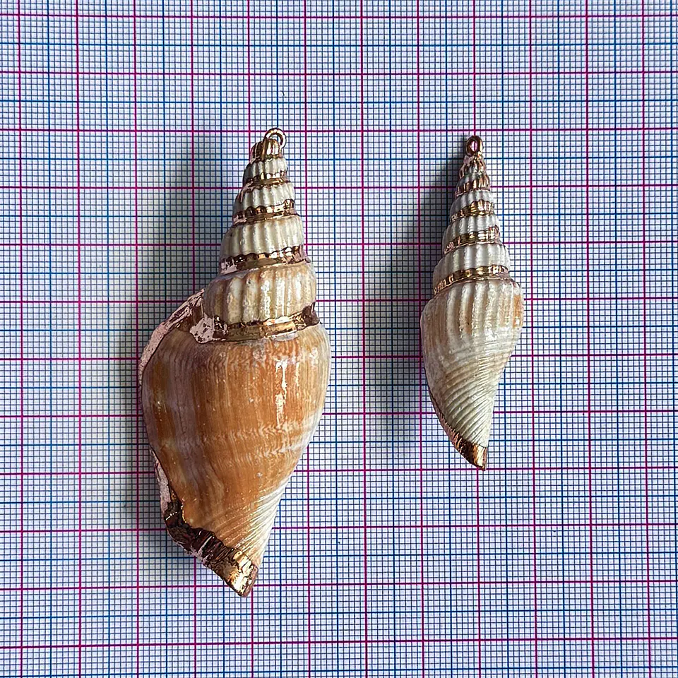 Dije Gran Caracol Marino • Nácar • Irregular 2