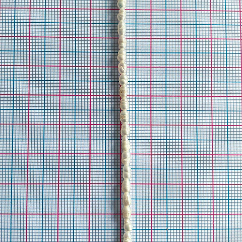 Perla de Río Arroz • 2x3 mm