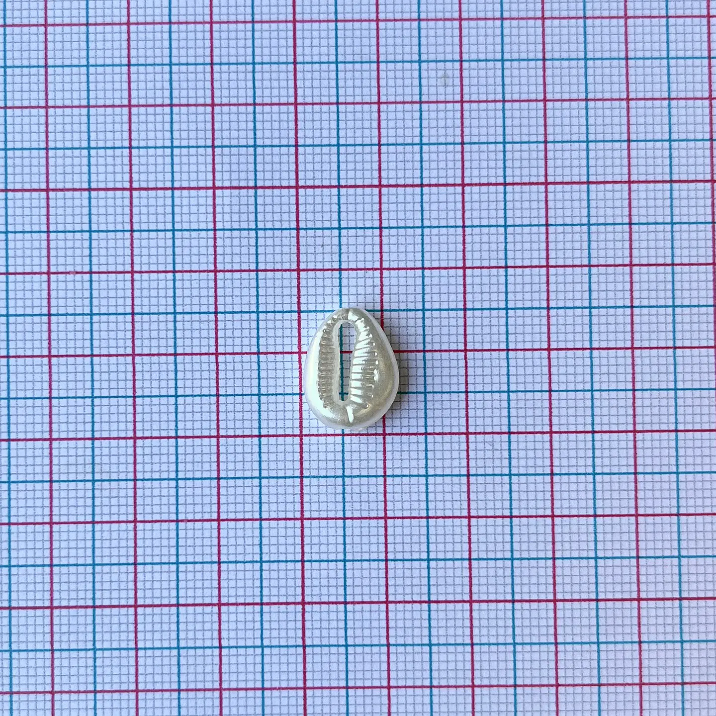 Separador Concha de Mar • Plástica • 12x15 mm 2
