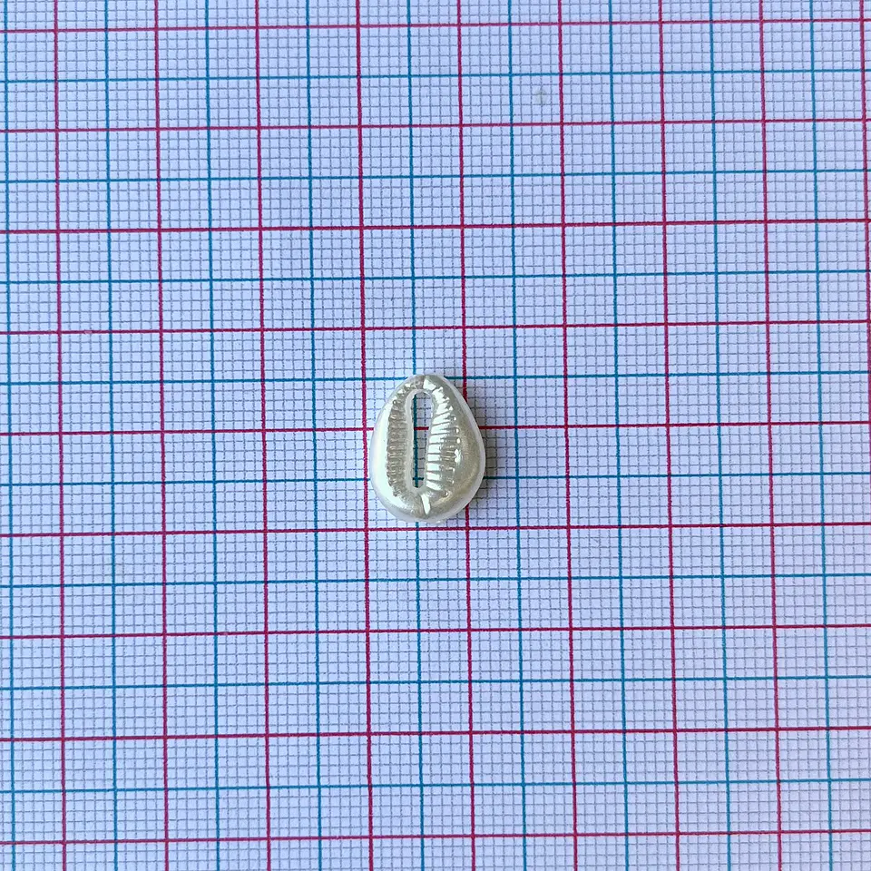 Separador Concha de Mar • Plástica • 12x15 mm 2