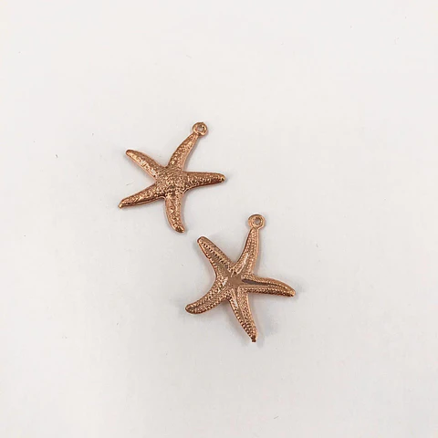 DIJE ESTRELLA DE MAR XH00916OR                     