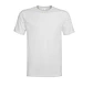 Polera Blanca Algodón Adulto Tubular - Miniatura 2