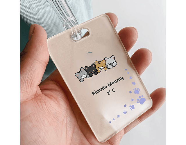 Identificador de Mochila Transparente (5 unidades)