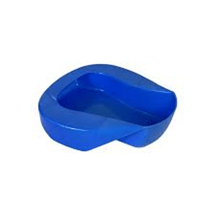 Chata anatómica azul – unidad 1