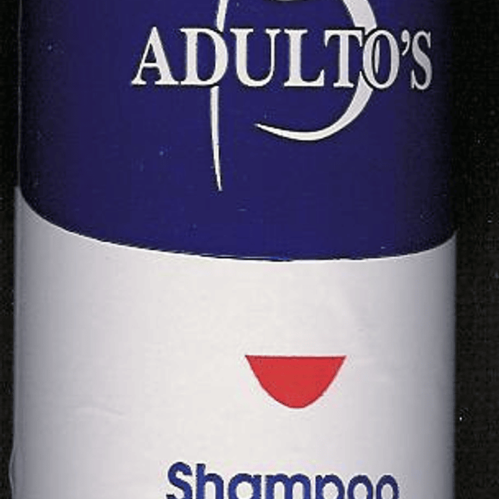 Shampoo en Seco 160 ml 1