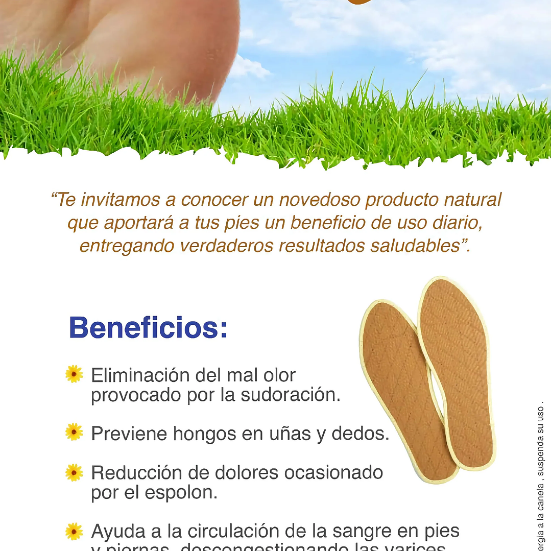 Plantillas de Canela  2