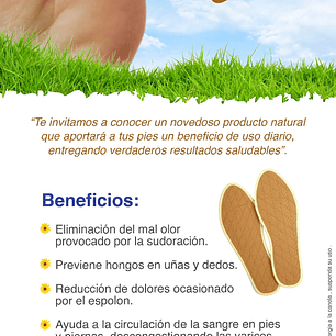 Plantillas de Canela 