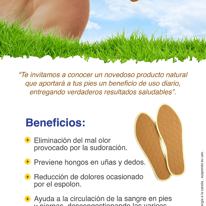 Plantillas de Canela  2