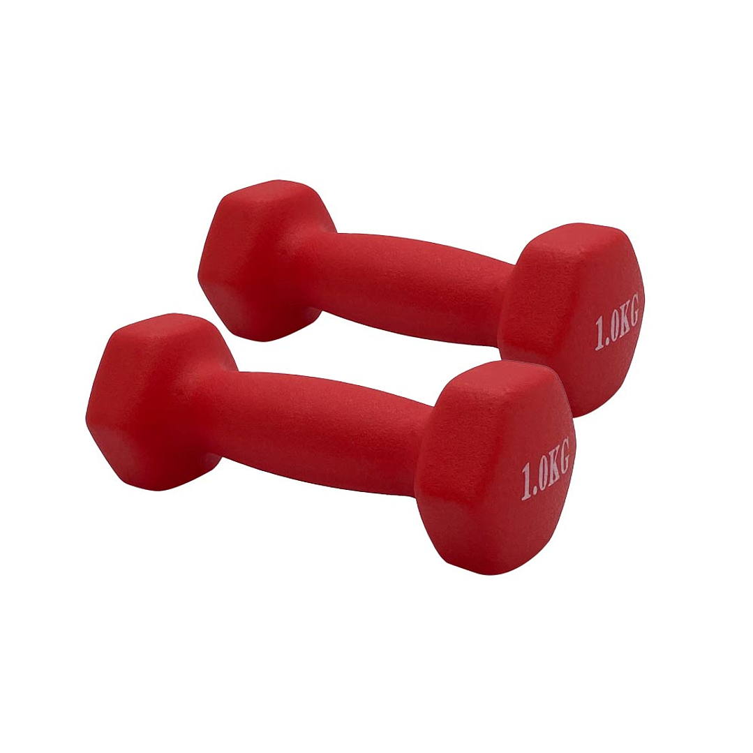 Mancuerna 1 kilo 1