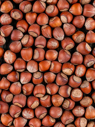 Avellana Europea Bolsa de 5 Kg