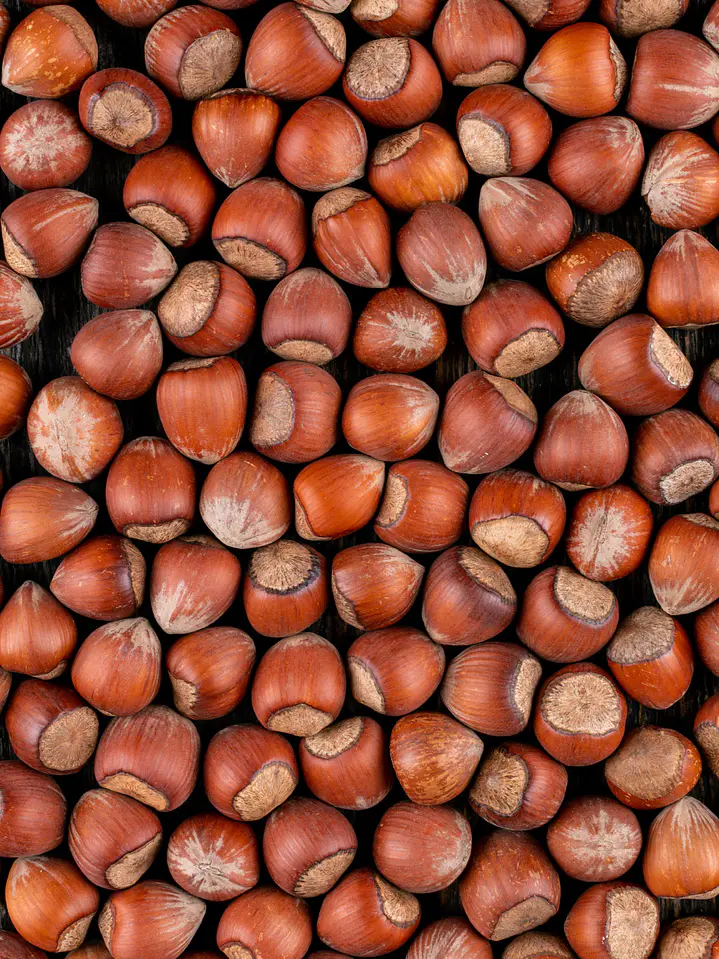 Avellana Europea Bolsa de 5 Kg 1