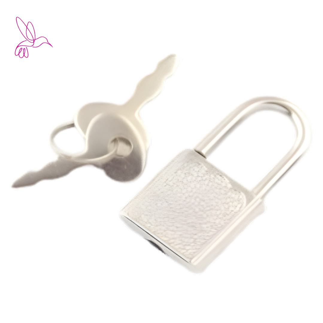 MINI CANDADO DE SEGURIDAD CON LLAVE ( DIARIO DE VIDA O AGENDA) 1