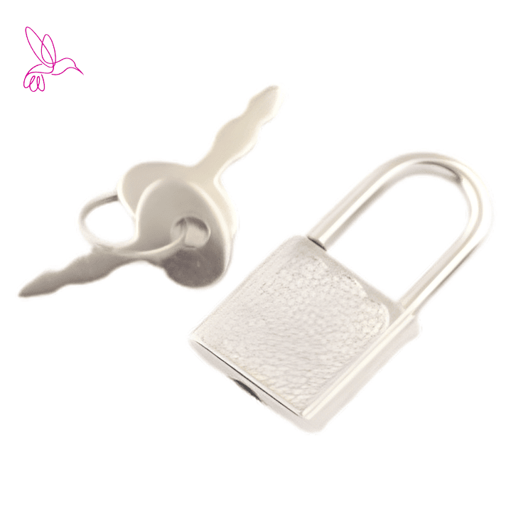 MINI CANDADO DE SEGURIDAD CON LLAVE ( DIARIO DE VIDA O AGENDA) 1