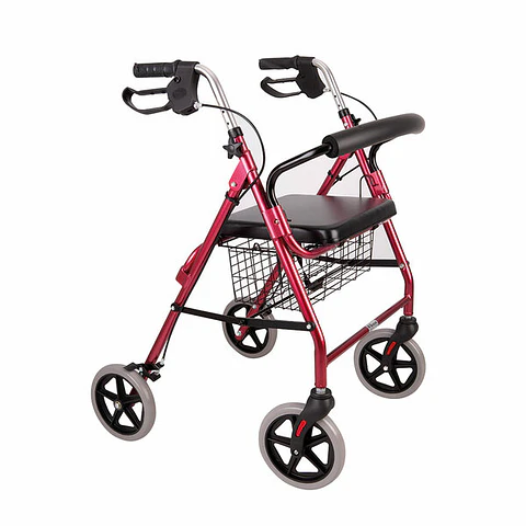 Andador 4 ruedas con asiento y canasto Blunding