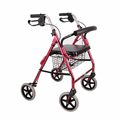 Andador 4 ruedas con asiento y canasto Blunding