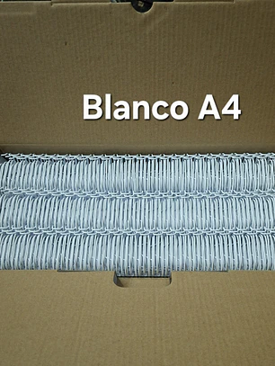 Anillos 19m