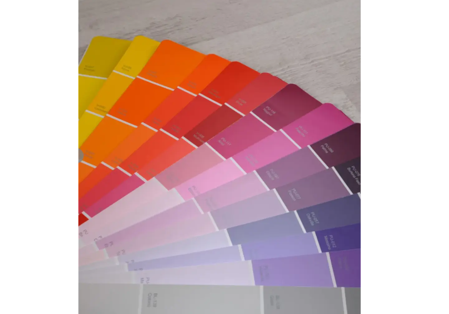  Abanico de Colores Kolor 4