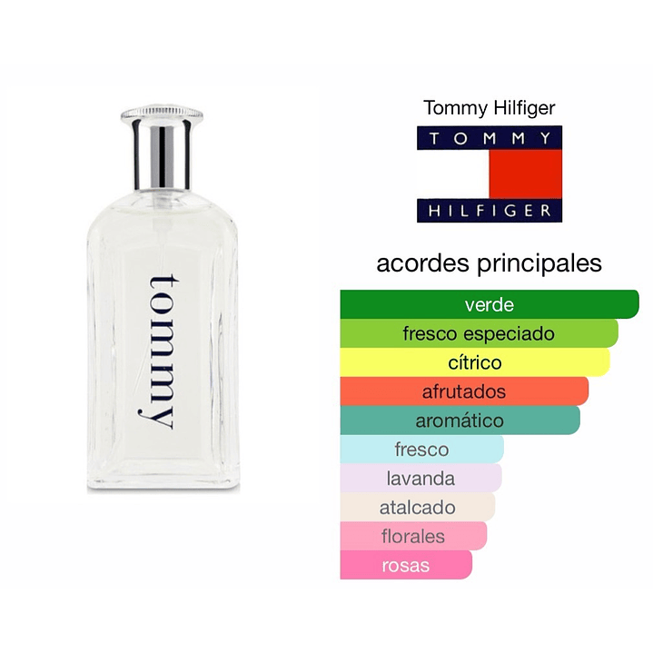 Tommy Hilfiger - Tommy [100 ml] (C) | EDT 2