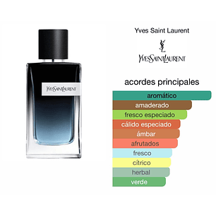 Yves Saint Laurent - Y [100ml] (C) | EDP