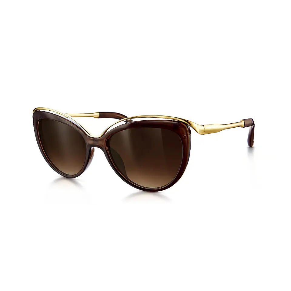 Lentes de Sol Sunset  1