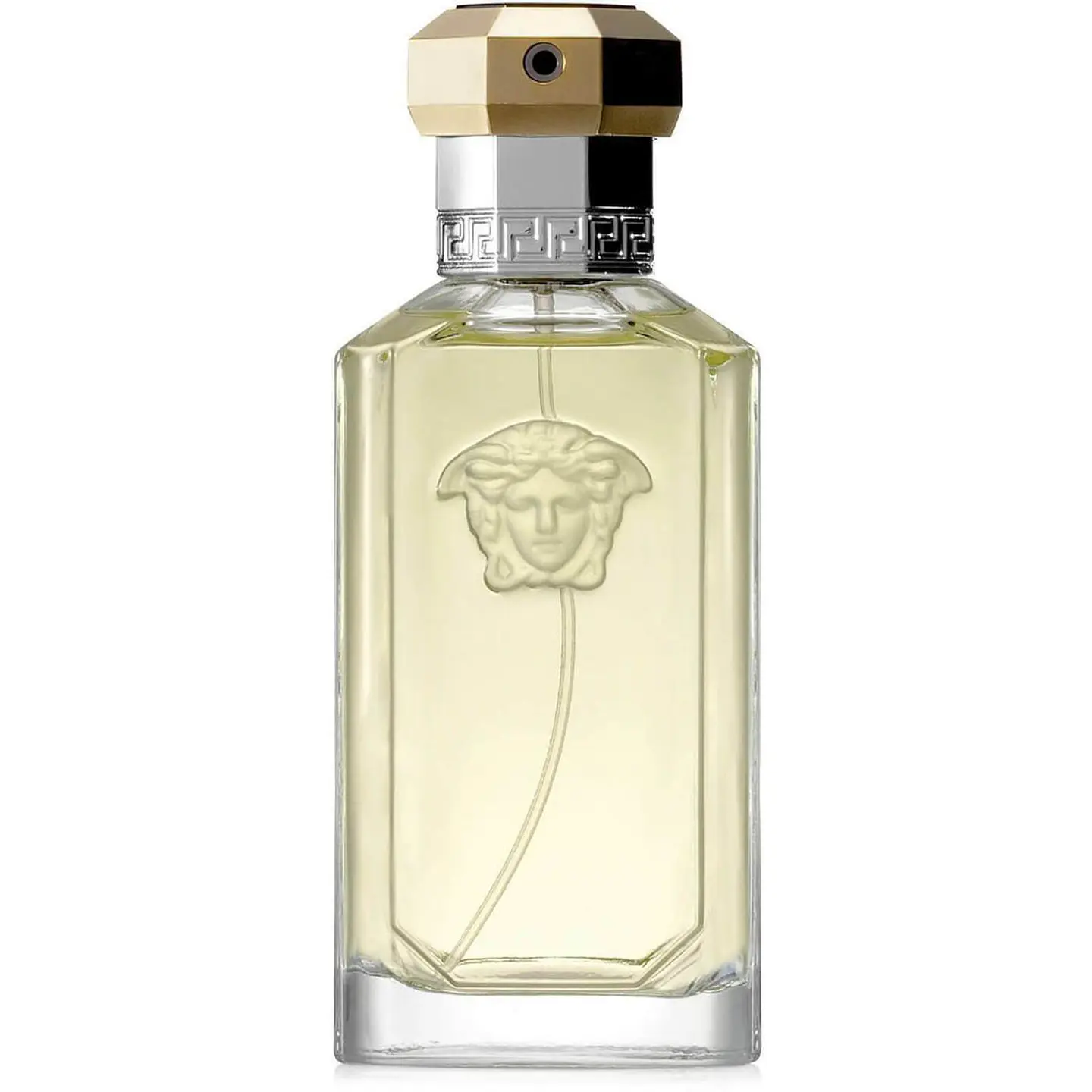 Versace The Dreamer 100 ml 2