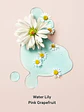 Mist Corporal Aqua Kiss 250 ml - Miniatura 2