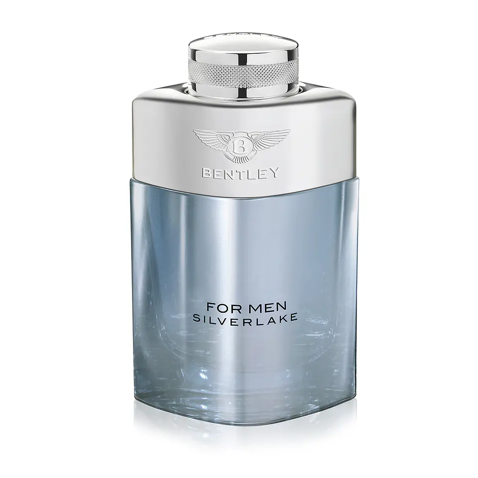 Bentley For Men Silverlake 100 ml TESTER 1