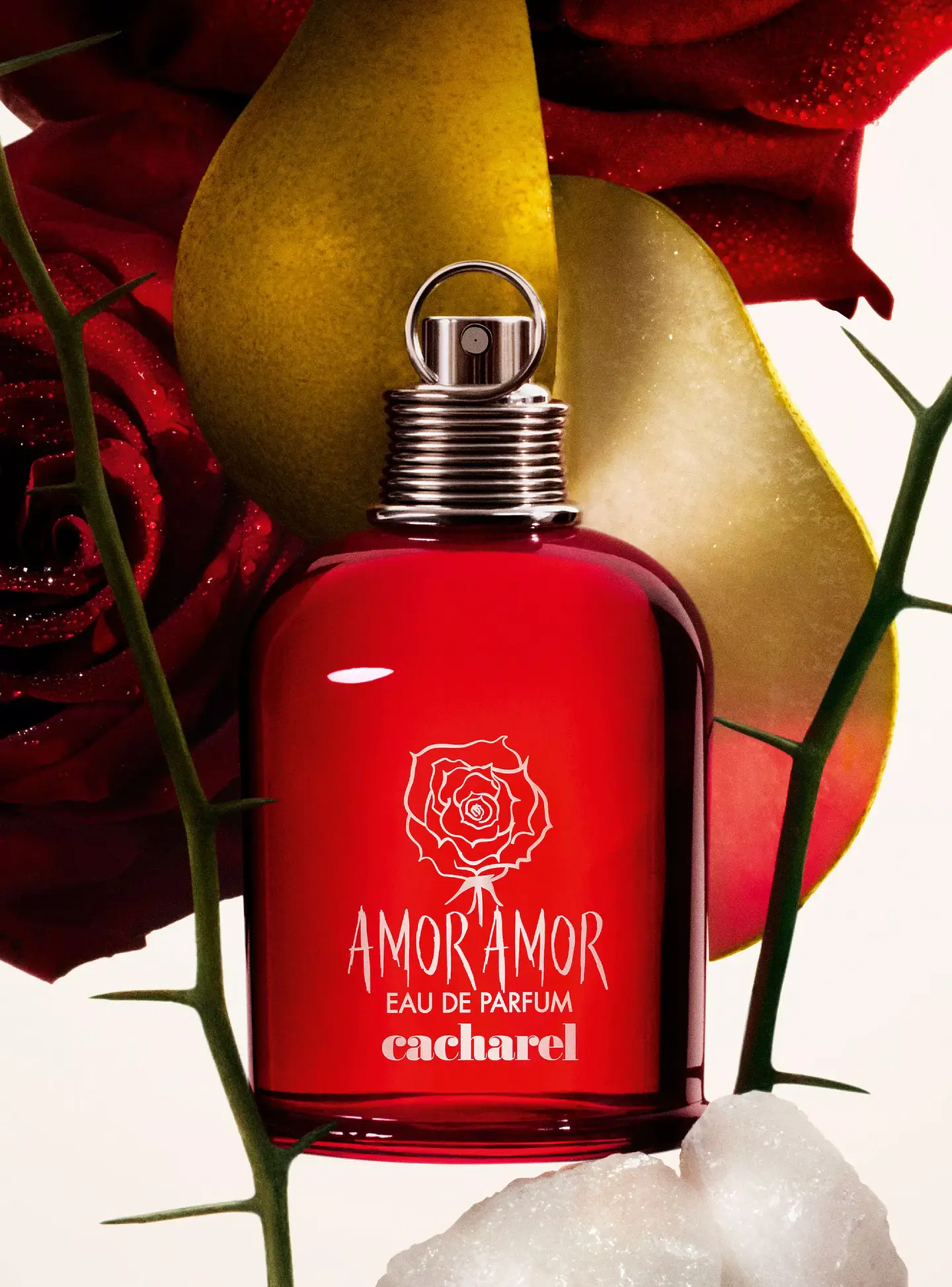 Amor Amor 30 ml EDP 3