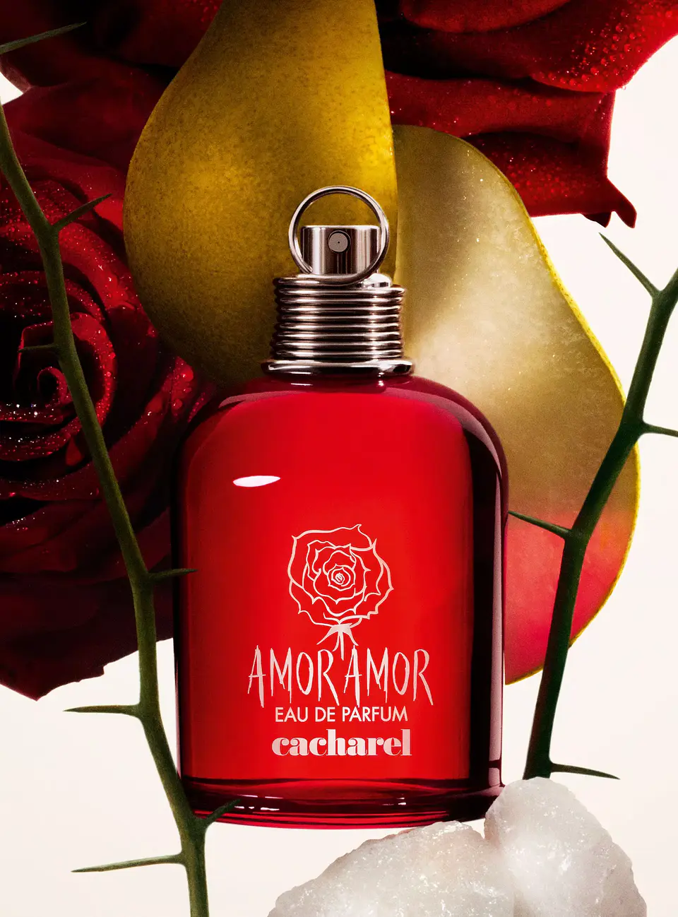 Amor Amor 30 ml EDP 3