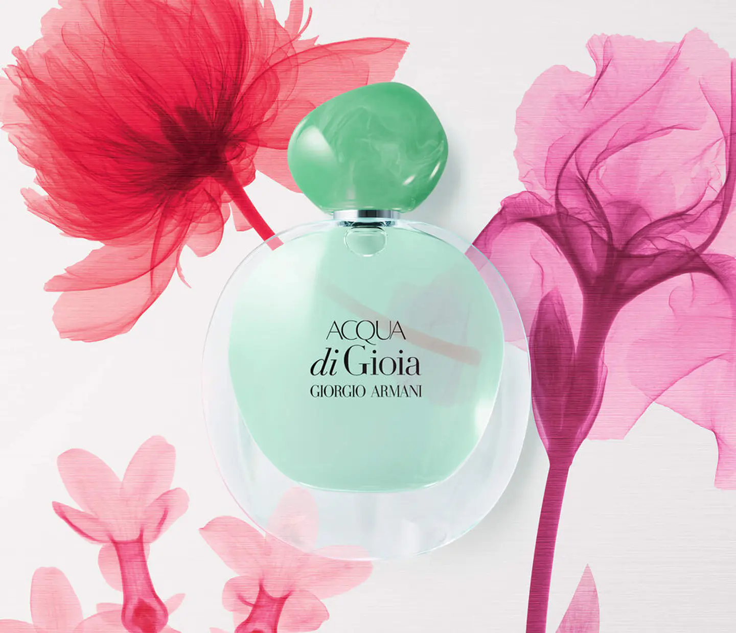 Acqua di Gioia 100 ml EDP + 15 ml + BL 3