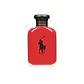 Polo Red 75 ml EDT - Miniatura 2