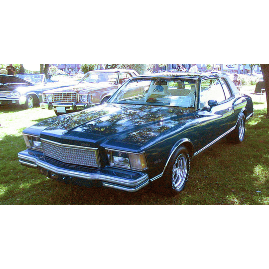 Manual De Taller Chevrolet Monte Carlo (1978–1980) Ingles