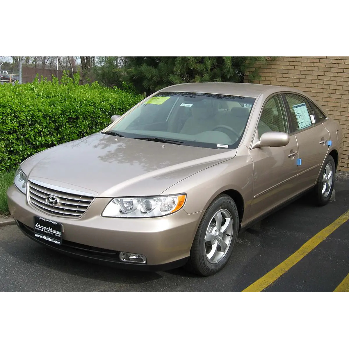 Manual De Usuario Hyundai Azera (2005-2011) Español | Multimanuales