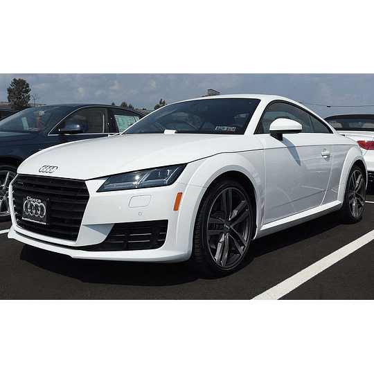 Manual De Taller Audi Tt (2014-2018) Español