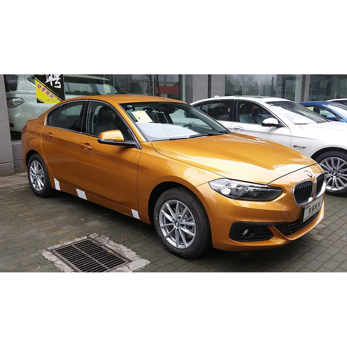 Bmw professional bm54