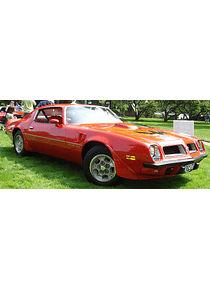 Manual De Taller Pontiac Firebird (1970-1981) Ingles