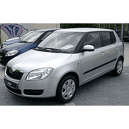 Manual De Taller Skoda Fabia (2007–2014) Español