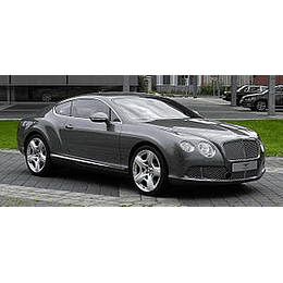 Manual De Taller Bentley Continental (2011–2018) Ingles