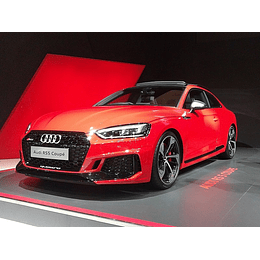 Manual De Usuario Audi RS5 (2016–2019) Español
