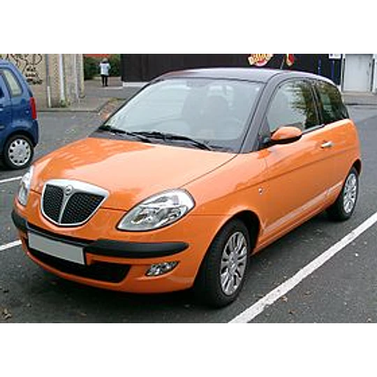 Maniglia porta Lancia Ypsilon 3 serie interna e esterna a un buon prezzo su AUTODOC