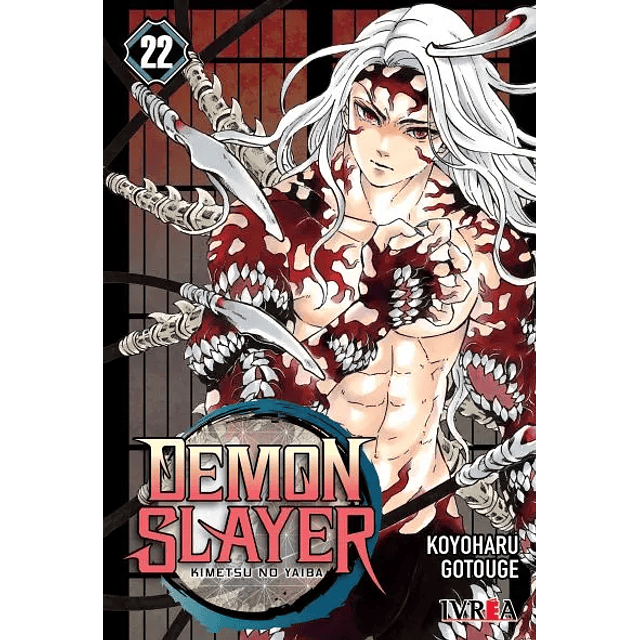 Manga Demon Slayer (Kimetsu no Yaiba) Vol. 22