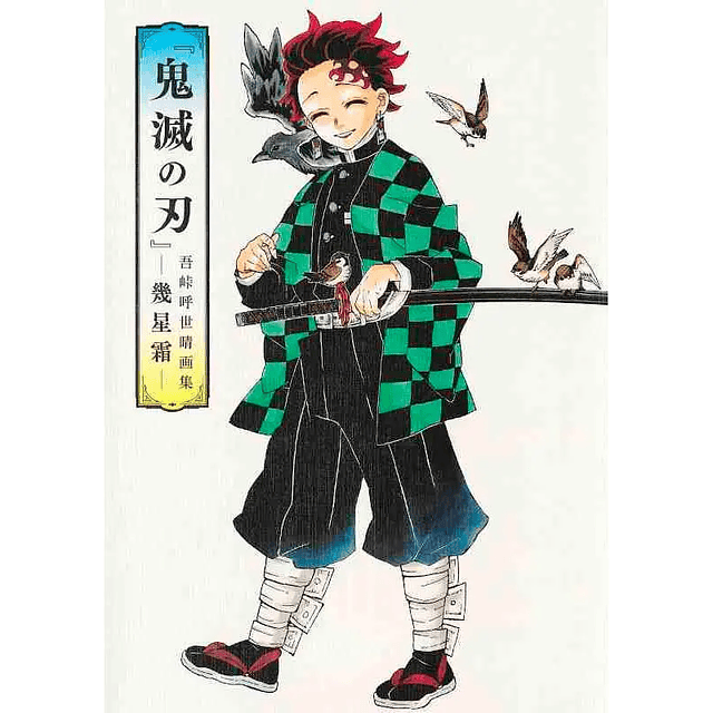 Artbook Kimetsu no Yaiba (Edición Japonesa)