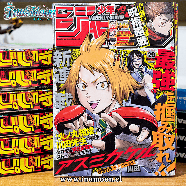 Revistas Weekly Shonen Jump