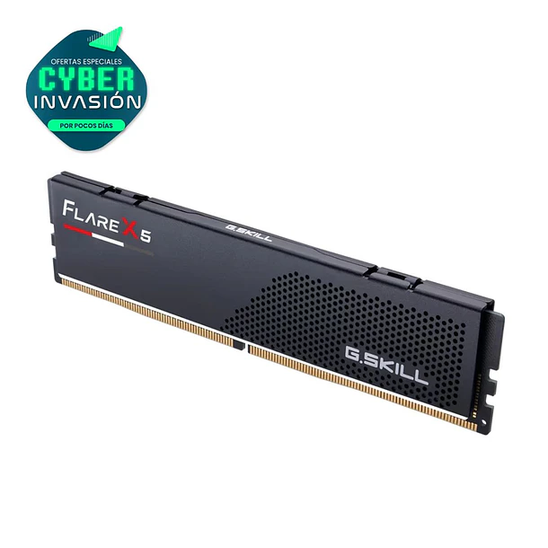 Memoria Ram G.Skill Flare X5 F5 (1 x 16 GB) DDR5  6000MHz 1