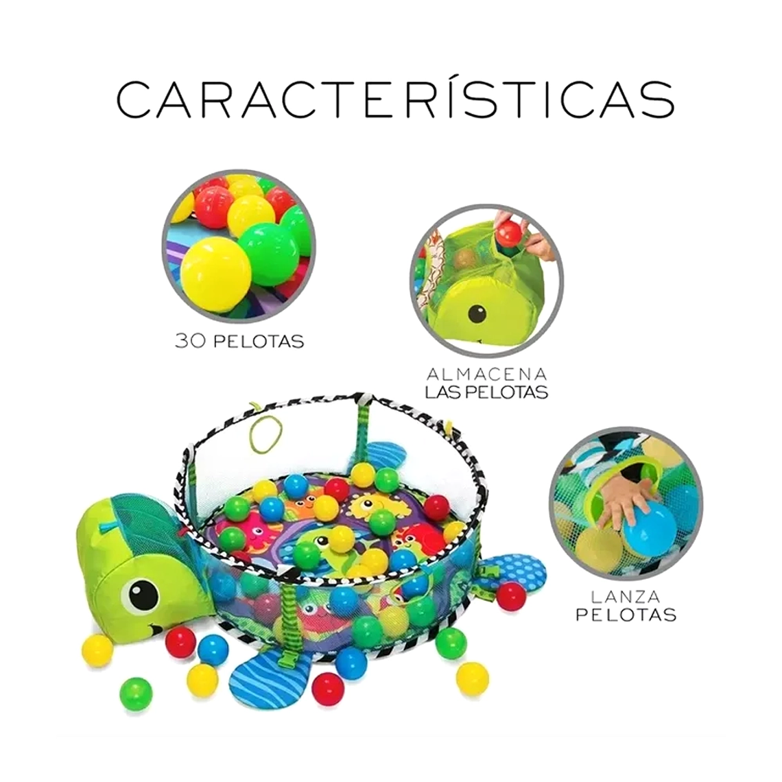 Gimnasio Bebé 3 en 1 Tortuga con Corral, Tapete y Pelotas  Desde 0 a 36 Meses 4
