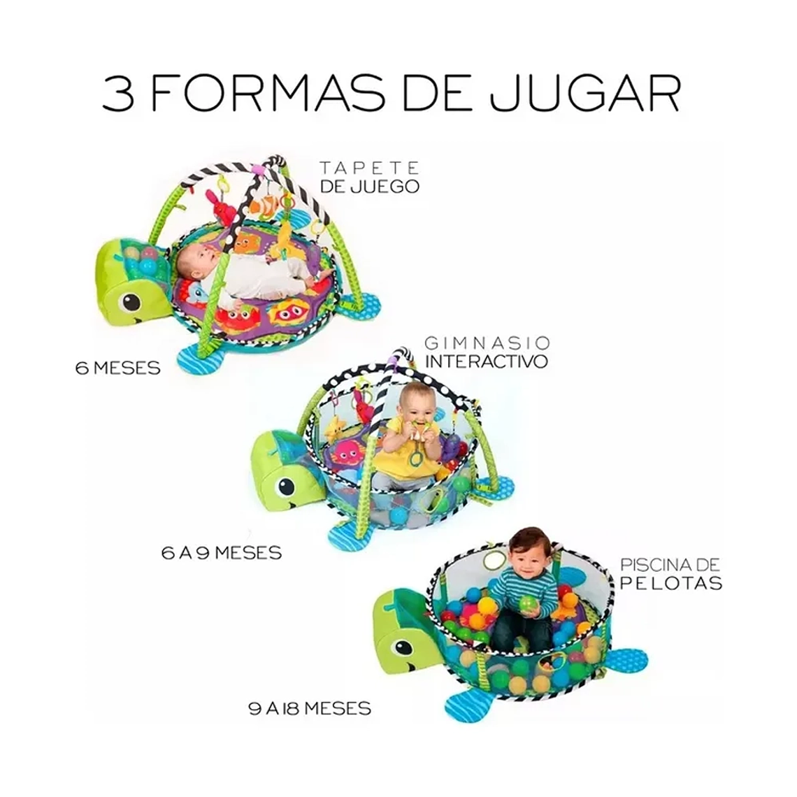 Gimnasio Bebé 3 en 1 Tortuga con Corral, Tapete y Pelotas  Desde 0 a 36 Meses 7