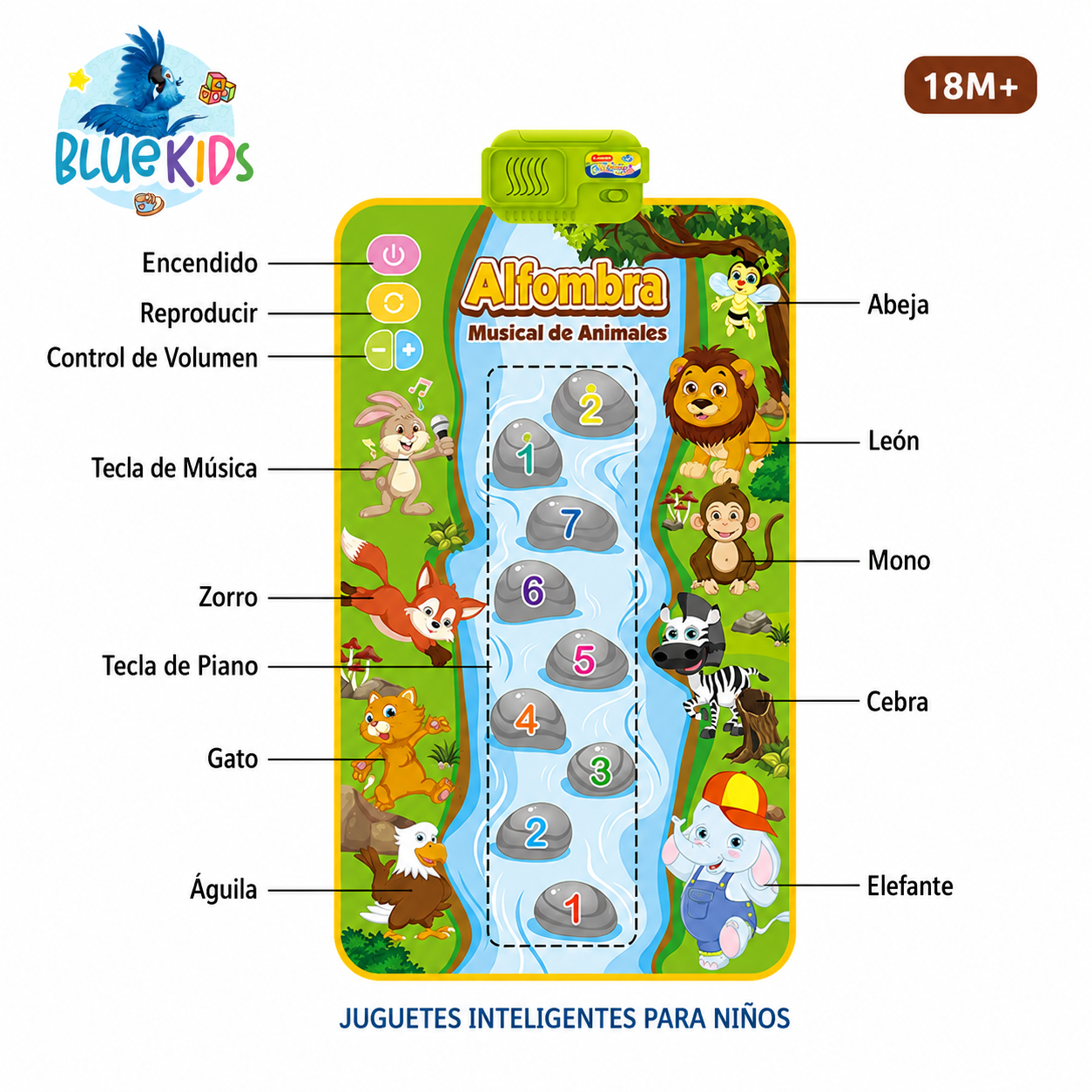 Alfombra Tapete Musical Bebé Interactiva Animales Piano 80x50 cm 4