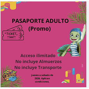ENTRADA Adulto Parque Caribe Aventura (Tickets Entrada )