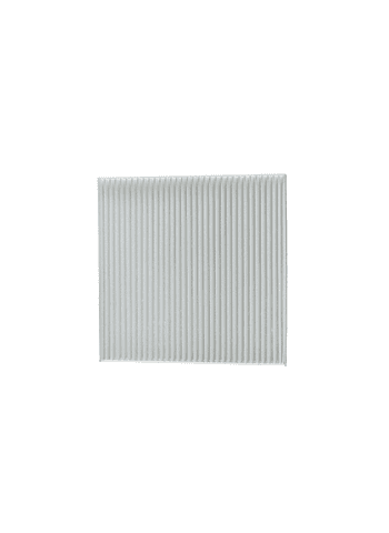 Filtro Polen JMC Vigus 2.4 2.5 